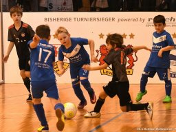 mini-2017-01-28-DSC_2979